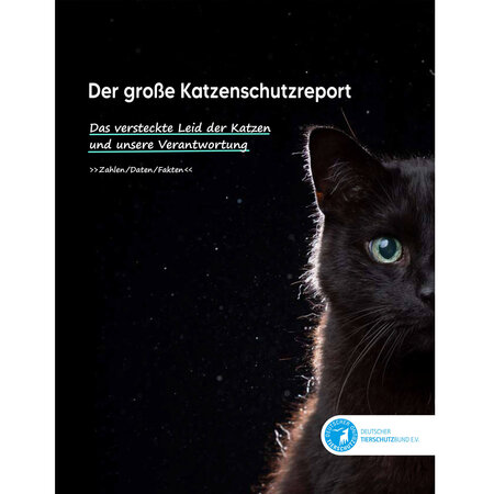 Cover des Katzenschutzreports des Deutschen Tierschutzbundes mit schwarzer Katze vor schwarzem Hintergrund