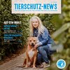 Auf dem Coverbild der Tierschutz-News kniet die erste Vorsitzende des Tierheim Duisburgs neben einem Hund.