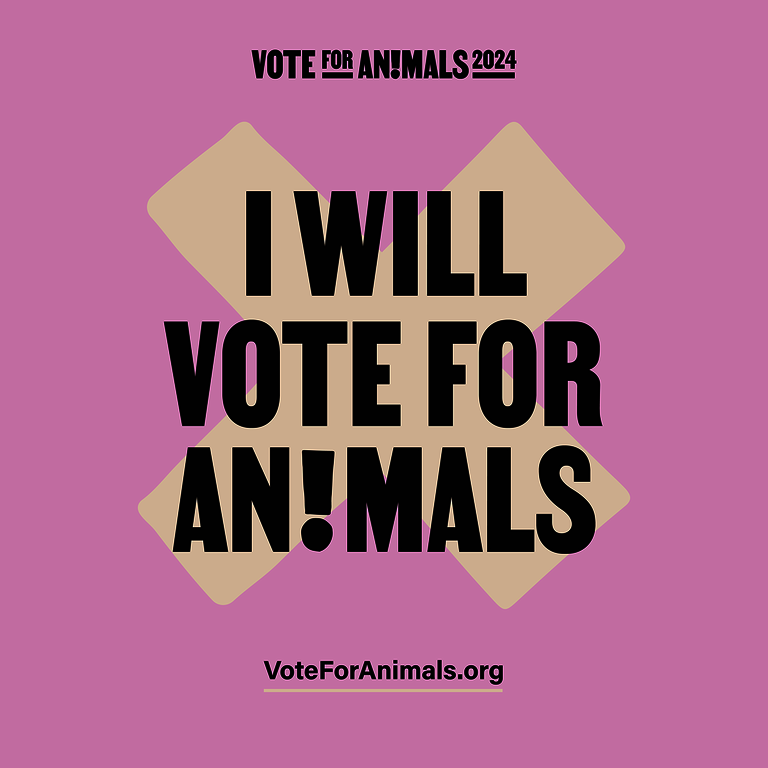 Text "I will vote for animals" steht auf rosa Kachel mit Kreuz als Symbol für EU-Wahl