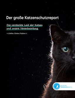 Cover des Katzenschutzreports des Deutschen Tierschutzbundes mit schwarzer Katze vor schwarzem Hintergrund
