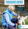 Auf dem Coverbild der Tierschutz-News kniet die Leiterin des Tierschutzzentrums in Weidefeld neben einem einäugigen Hund und streichelt diesen.