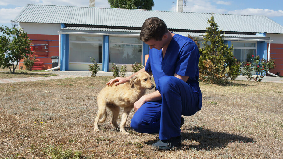 Tierpfleger streichelt dreibeinigen Hund draußen vor den Hundeausläufen