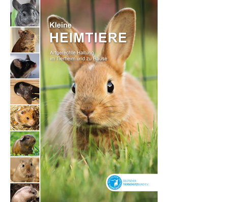 Cover des Buchs "Kleine Heimtiere", das eine Galerie an Bildern von Kaninchen, Meerschweinchen und weiteren Kleintieren zeigt