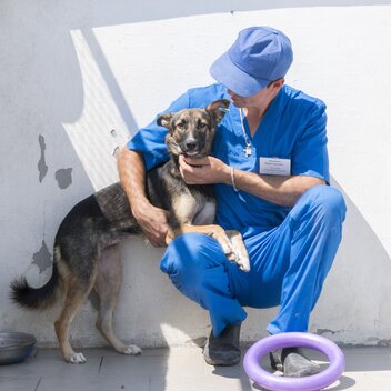 Hund hat seine Vorderbeine auf dem Schoß eines Tierpflegers in Odessa. Hund schaut in die Kamera, der Tierpfleger schaut den Hund an. 