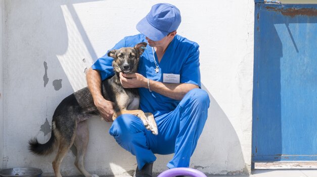 Hund hat seine Vorderbeine auf dem Schoß eines Tierpflegers in Odessa. Hund schaut in die Kamera, der Tierpfleger schaut den Hund an. 