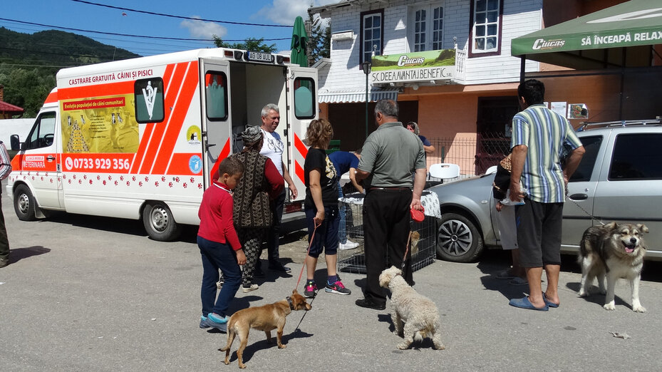 Bürger warten mit Hunden vor Kastrationsmobil