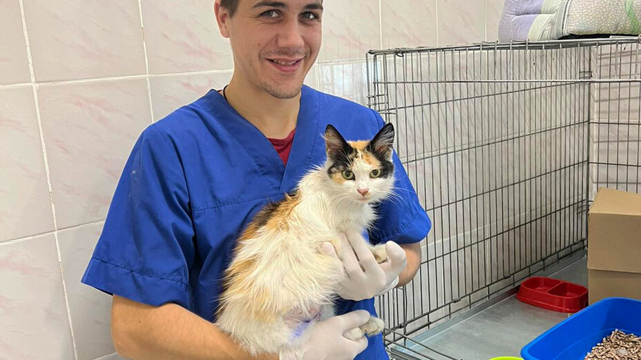 Tierpfleger mit Katze auf dem Arm