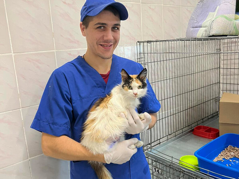 Tierpfleger mit Katze auf dem Arm