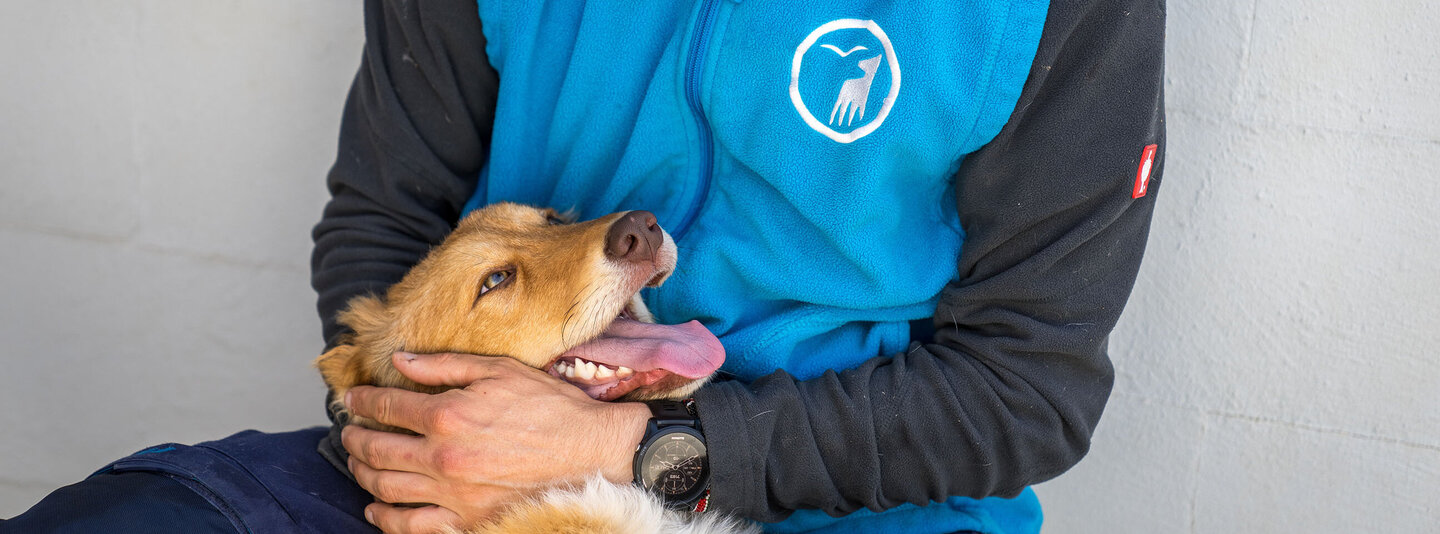 Tierpfleger des Tierschutzzentrums Weidefelds streichelt aus Odessa evakuierten Hund, der ihn glücklich anschaut.