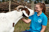 Tierpflegerin mit Ziege Baxter im Tierschutzzentrum Weidefeld