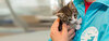Kitten auf Arm von Tierpfleger im Tierheim Berlin