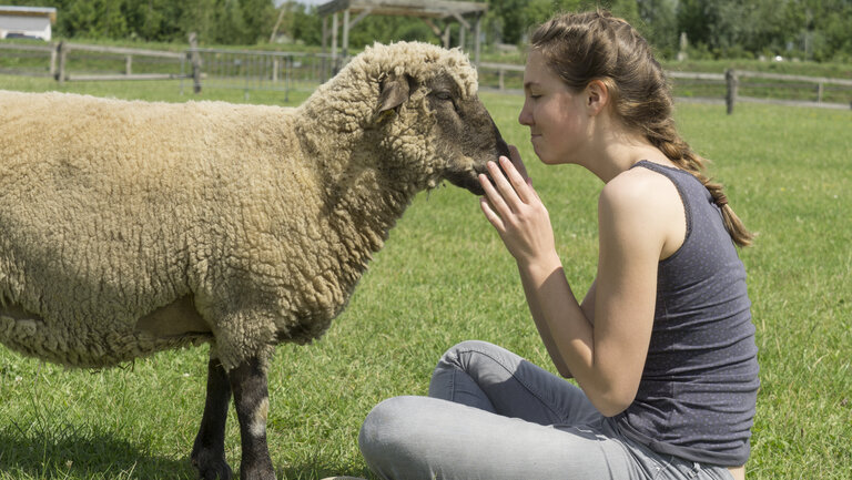 Mädchen aus dem Jugendtierschutz sitzt nah vor einem Schaf auf der Wiese und schaut es an