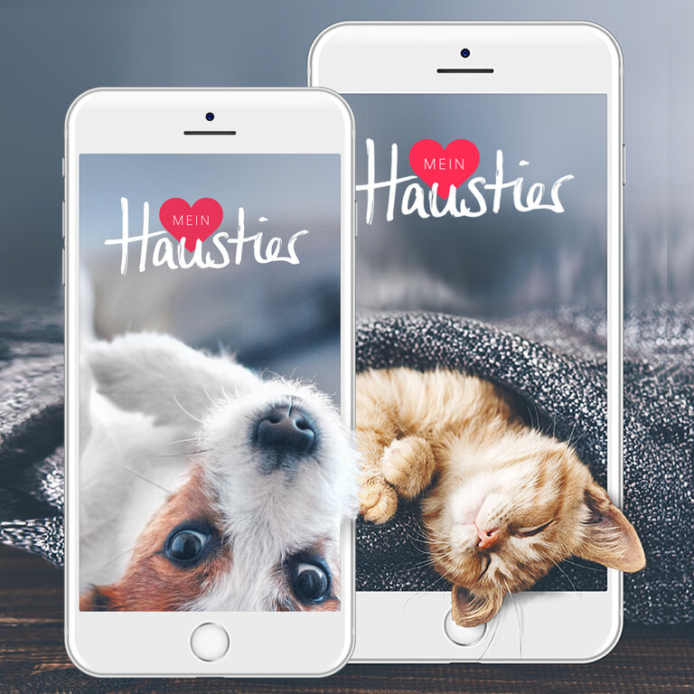 Zwei Handys, jeweils mit dem Startbildschirm der "Mein Haustier" App, der einen Hund eine Katze zeigt