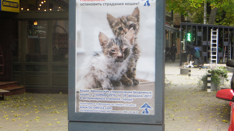 Werbeplakat von unserem Tierschutzzentrum in Odessa