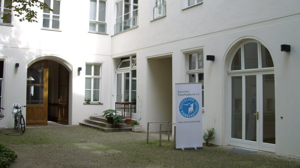 Hauptstadtbüro in Berlin