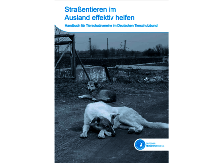 Cover des Buchs "Straßentieren im Ausland effektiv helfen", auf dem zwei Hunde auf einer Straße liegen