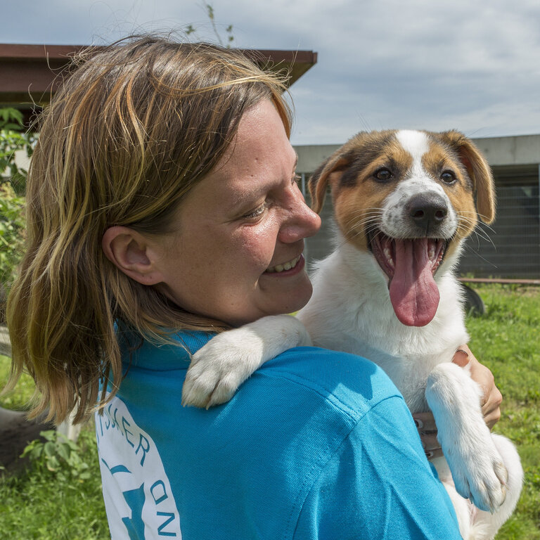 Arbeit im Tierheim Berlin -  Kleiner Hund auf dem Arm von tierheim-Mitarbeiterin