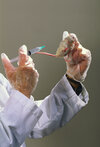 Eine Labormaus wird in der linken Hand eines Kittelträgers hochgehalten. Mit der rechten Hand wird eine Spritze auf die Maus gerichtet. 