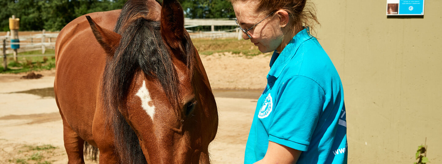 Tierpflegerin im Tierschutzzentrum Weidefeld füttert ein Pferd