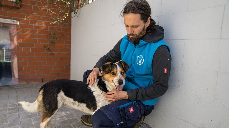 Ein Tierpfleger hockt an eine Wand gelehnt und streichelt einen Hund