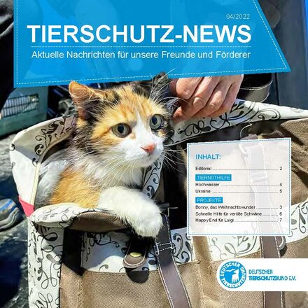 Auf dem Cover der Tierschutz-News ist eine Katze abgebildet, die aus einer Tasche herausschaut.